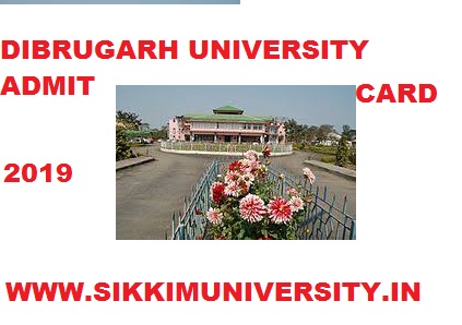 Dibrugarh University Ist, 2nd, 3rd Year Sem. Admit Card 2022 BA BSC BCOM Exam Hall Ticket 1